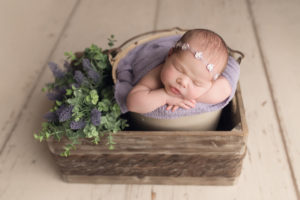 boston newborn photographer