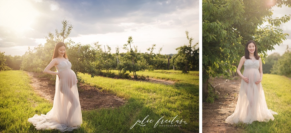brooksby farm maternity session